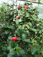 DSC08100.webp
