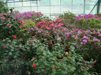 DSC08136.webp
