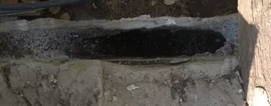 WP_20150501_001.jpg