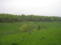 IMG_6540.jpg