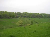 IMG_6540.webp