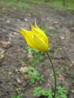IMG_6582.jpg