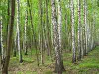 IMG_6587.jpg