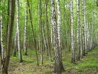 IMG_6587.webp