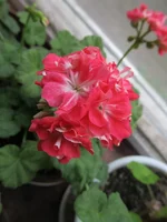 crop_127146455_gxjiOc.webp