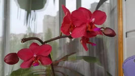 20150502_110713.jpg