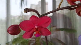 20150502_110718.jpg