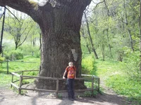 100_7085.webp