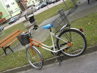 Bild 276.webp