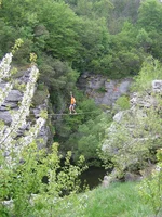 IMG_6447.jpg