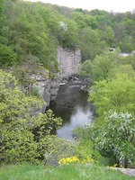 IMG_6455.jpg