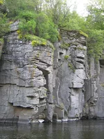 IMG_6468.jpg