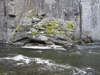 IMG_6475.webp