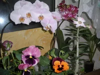 P5070114 (2).webp