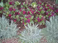 P4300041.webp