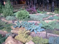 04 (12).webp