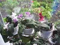 IMG_7679.webp