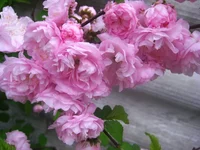 IMG_7671.webp