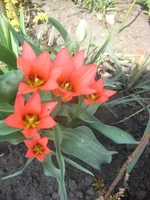 IMG_7497.webp