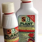 INV250A_310.webp