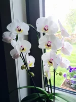 image.webp