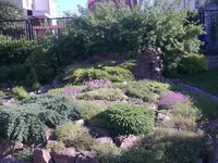 10 (6).webp