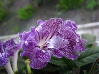 IMG_7790.webp