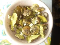 20150511_142258.webp