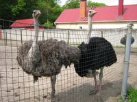 IMG_6722.jpg