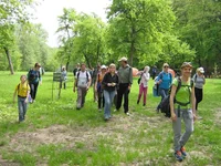IMG_6758.jpg