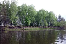 DSC016571.jpg