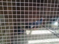 1614.webp