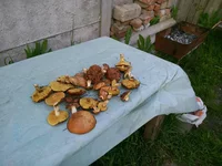 IMG_20150512_192811.webp