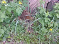 IMG_20150512_111231.webp