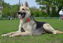 Лежа-3.jpg