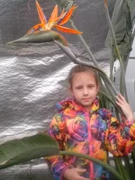 IMG_17052015_165514.webp