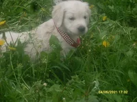  разные фотки 127.webp