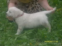 новые разные фотки 144.jpg