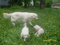  разные фотки 132.webp