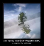 1262520065_dem1731.webp