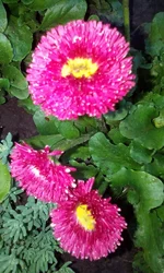  1062.webp