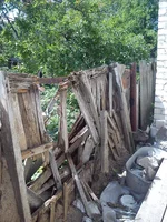 DSC_1674.webp