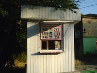 DSC00487.webp