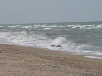 K640_IMG_0657.JPG