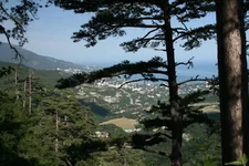 , вид с боткинской тропы2.webp