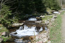  к синевиру.webp