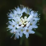 r-0066-.webp