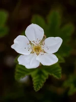 r-0101-.webp