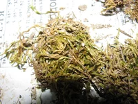 IMG_3788_изменить размер.webp