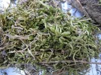 IMG_3781_изменить размер.webp